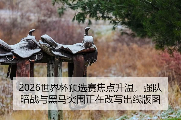 2026世界杯预选赛焦点升温，强队暗战与黑马突围正在改写出线版图