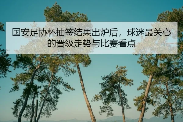 国安足协杯抽签结果出炉后，球迷最关心的晋级走势与比赛看点